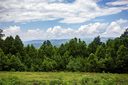 3302 Eagle Heights Circle 34 sold home in Lenoir, SC
