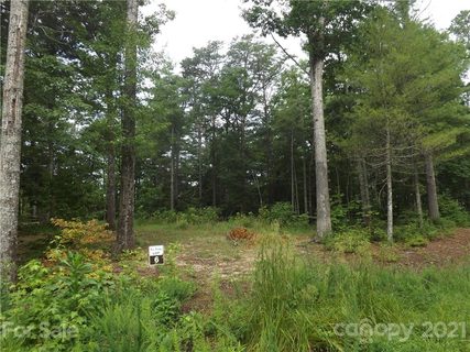 0 Fox Ridge Trail 6