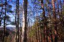 Lot 58 Turkey Spur Road sold home in Brevard, SC