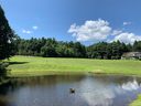 106 Eagle Lake Drive sold home in Brevard, SC