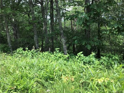 0000 Broken Arrow Trail C24 sold lot in Top of Boone, Boone, NC