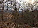 Tbd Camsyn Drive 40 sold home in Weaverville, SC