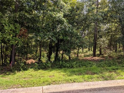 709 Catchpoint Drive 20 sold lot in Kelley Woods, Rock Hill, SC