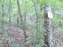 00 Wakulla Way 37 sold home in Waynesville, SC