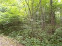 00 Wakulla Way 38 sold home in Waynesville, SC