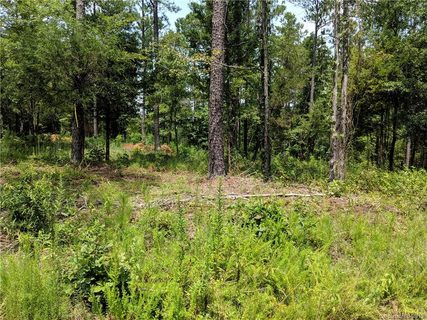 1588 Aragon Beach Road 7 sold lot in Kelley Woods, Rock Hill, SC