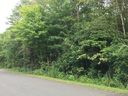 431 Forest Way Drive sold home in Fort Mill, SC