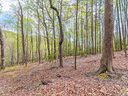 000 Laurel Creek Drive sold home in Hendersonville, SC
