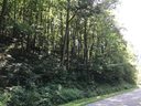 Lot 1 George Sutton Road sold home in Waynesville, SC