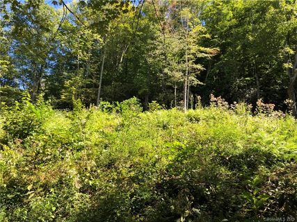 00 Big Ridge Road