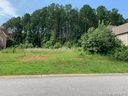 311 Palm Cove Way 4 sold home in York, SC