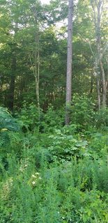2514 Twin Creek Road 14 &13 sold home in Hickory Creek, Denver, NC