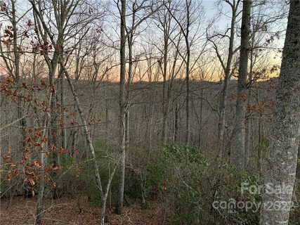 162 Chattooga Run 291R