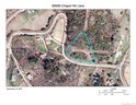 99999 Chapel Hill Lane sold home in Leicester, SC