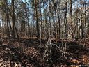 8801 Vagabond Road sold home in Charlotte, SC