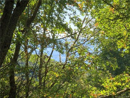 Lot C9 Briarwood Road