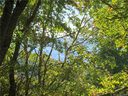 Lot C9 Briarwood Road sold home in Maggie Valley, SC