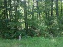 Tbd Old Toxaway Road Lot 7 sold home in Brevard, SC