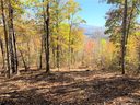 000 Laurel Creek Drive 32 sold home in Hendersonville, SC
