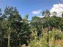 Lot 25 Cub Trail sold home in Maggie Valley, SC