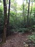 132 Moon Circle sold home in Brevard, SC