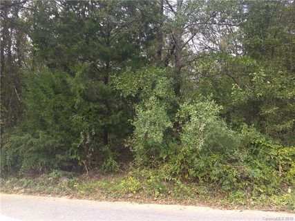 348 Catherine Street 21 sold lot in Castle Heights, Rock Hill, SC