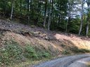 00 Left Fork Run Road sold home in Bakersville, SC
