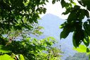 122 Heavenview Point sold home in Maggie Valley, SC