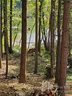 4812 Rio De Luna Street 17 sold home in Hickory, SC