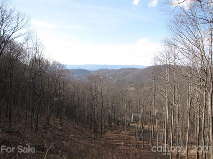 99 Ne Howland Road 24 sold lot in Peach Knob Meadows, Asheville, NC