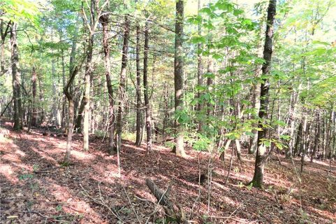 530 Slick Rock Road Tract 1 sold lot in Slick Rock, Brevard, NC