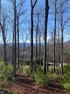 9999 S Mills River Road sold lot in Cairens Ridge, Mills River, NC
