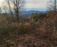 40 Hawks View Drive 26 sold home in Canton, SC