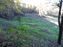 Lot 10 Cider Mill Road sold home in Waynesville, SC