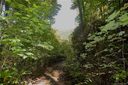 1204 Dogwood Drive sold home in Maggie Valley, SC