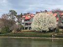 9039 J M Keynes Drive 14 sold home in Charlotte, SC