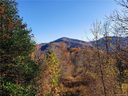 00 Havenwood Drive 25 sold home in Maggie Valley, SC