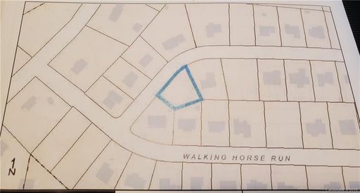 157 Walking Horse Run