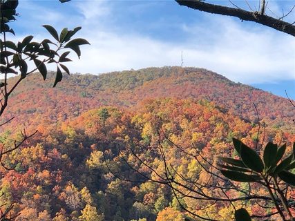 115 Davey Crockett Road sold lot in Wildflower Ridge, Fairview, NC