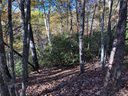 111 Wilderness Road sold home in Lake Lure, SC
