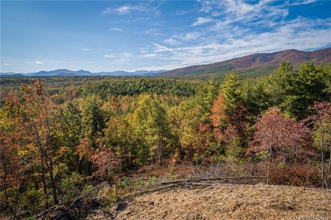0 Pisgah Preserve Drive 77