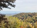 99999 Freemont Drive 82 sold home in Leicester, SC