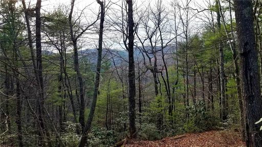 0 Skid Trail Road 22 sold land listing in Curtis Mountain, Lenoir, NC
