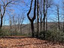 Lot 34 Wood Fern Lane sold home in Rosman, SC