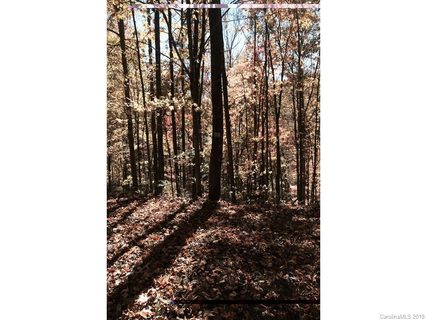 00 Fern Trail 50