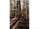 00 Fern Trail 50 sold home in Waynesville, SC