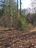 1424 Crescent Street 26 sold home in Monroe, SC