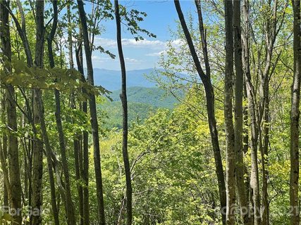 3326 Preserve Road 98