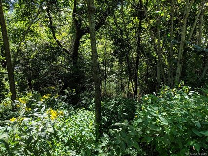 69 Live Oak Loop
