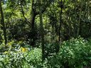 69 Live Oak Loop sold home in Waynesville, SC